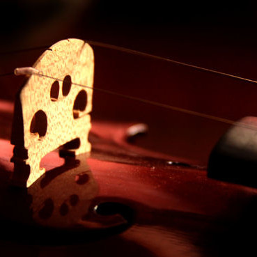 aid28103-728px-Place-a-Bridge-on-a-Violin-Step-2