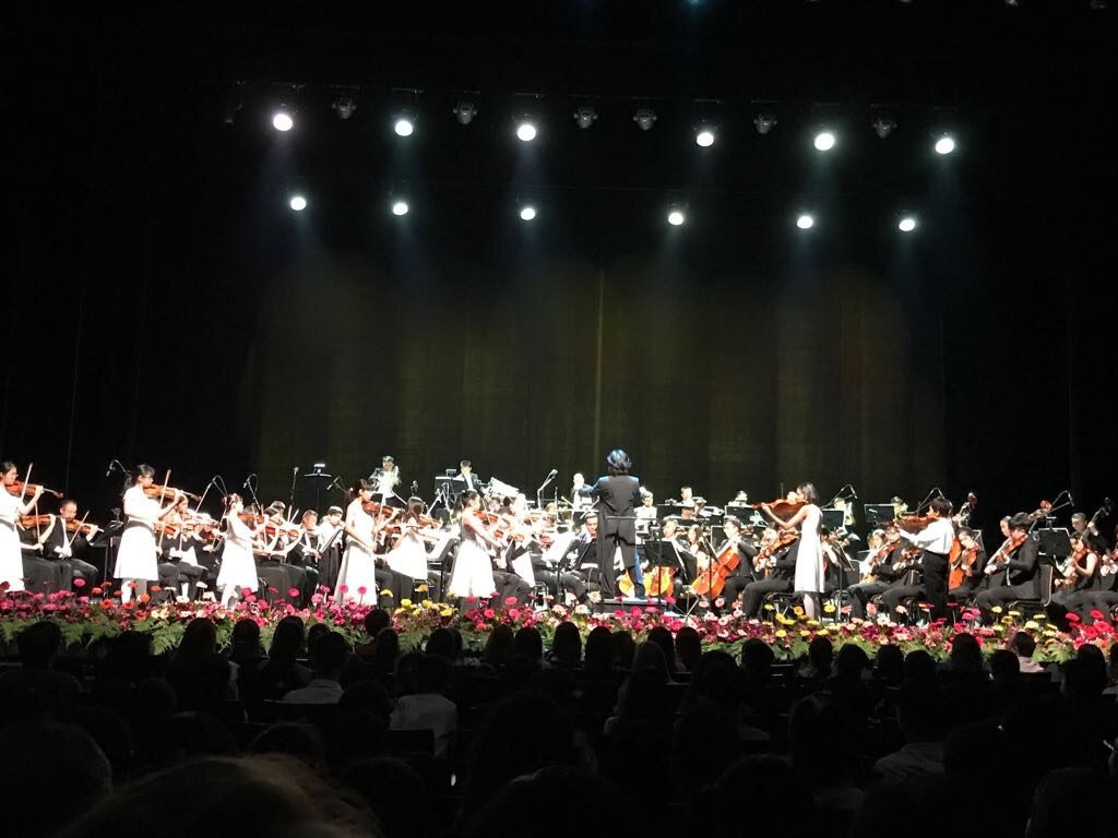 Melody Strings | String Orchestra