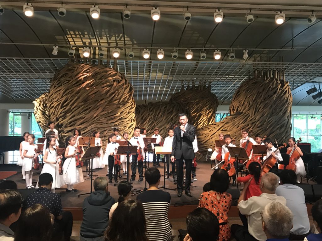 Melody Strings | String Orchestra