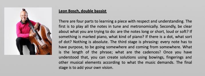 Melody Strings | 3 views on developing a positive approach to learning an instrument