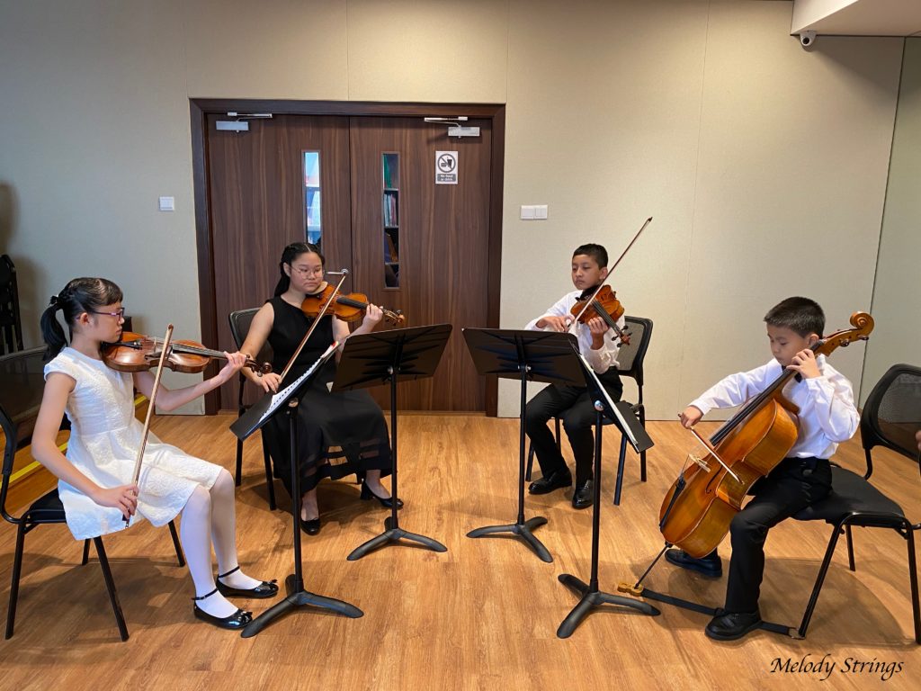 Melody Strings | String Quartet